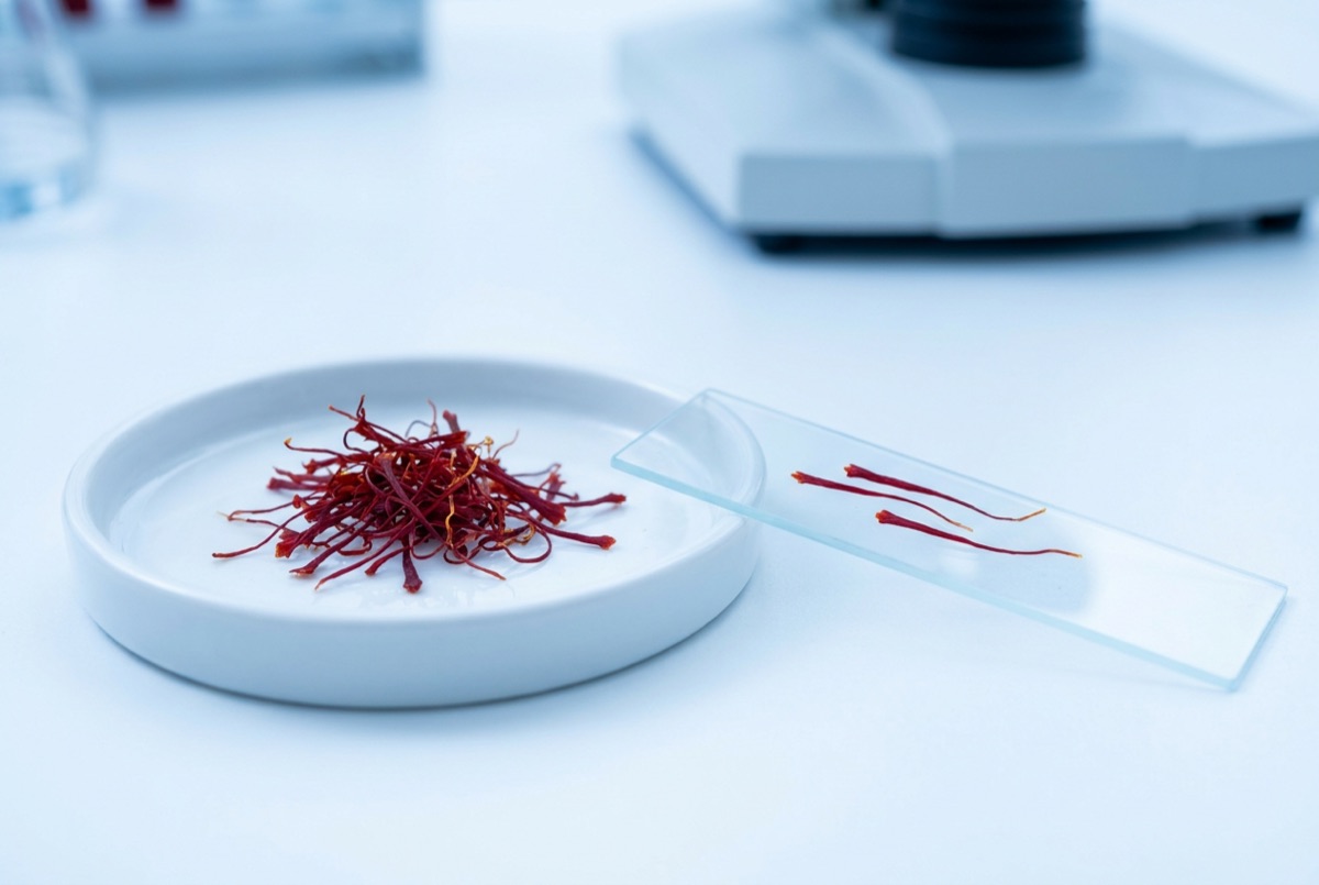Saffron threads — the key mood ingredient in the Zafira supplement